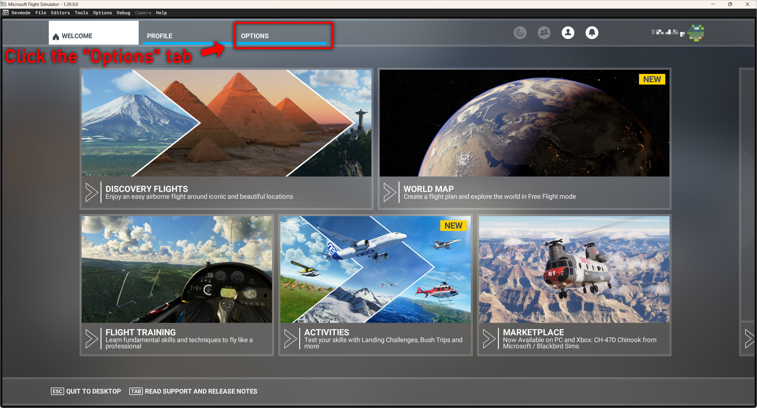 MSFS 2020 main menu showing the Options tab
