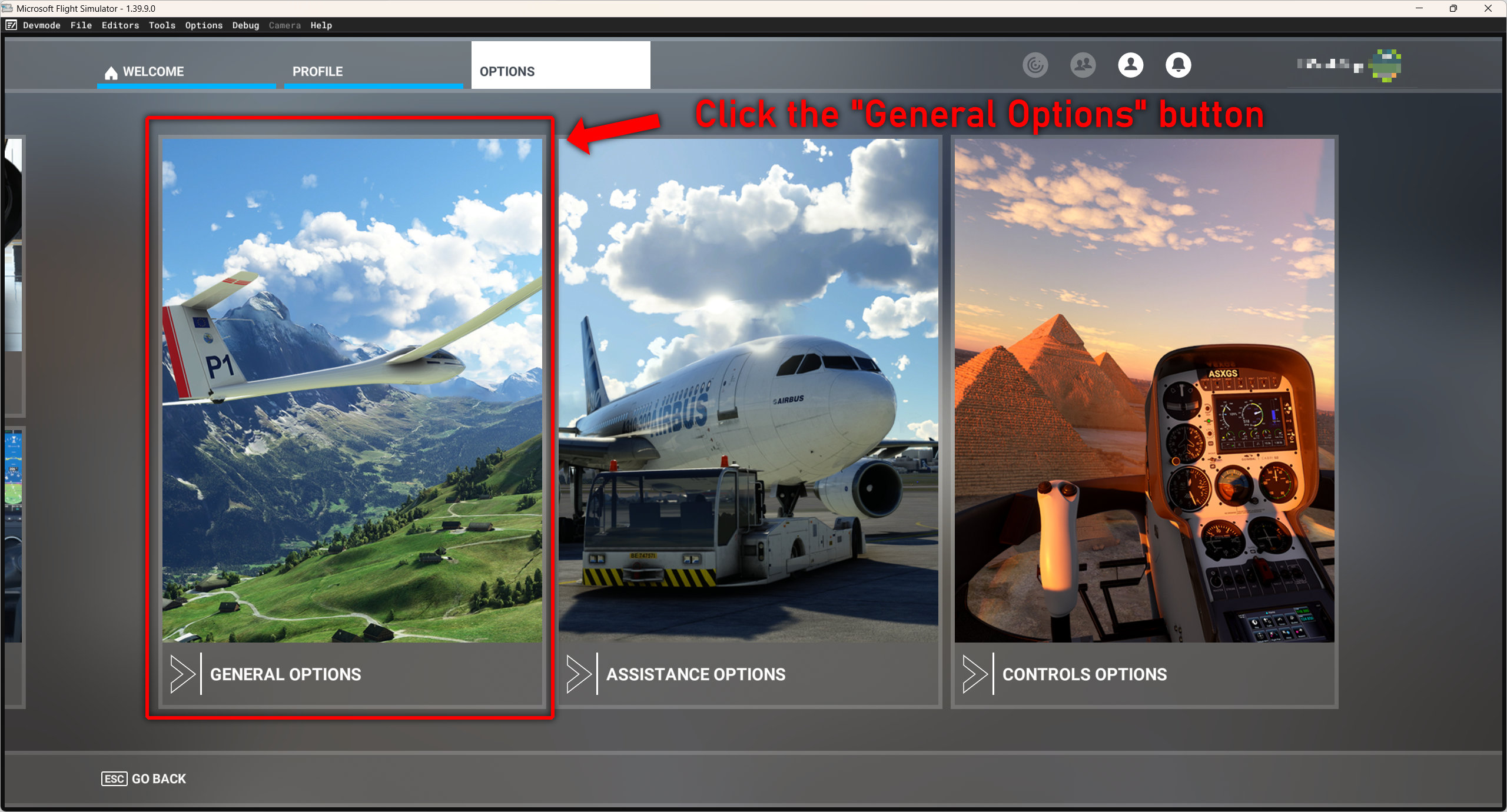MSFS 2020 Options menu with the General Options tab highlighted