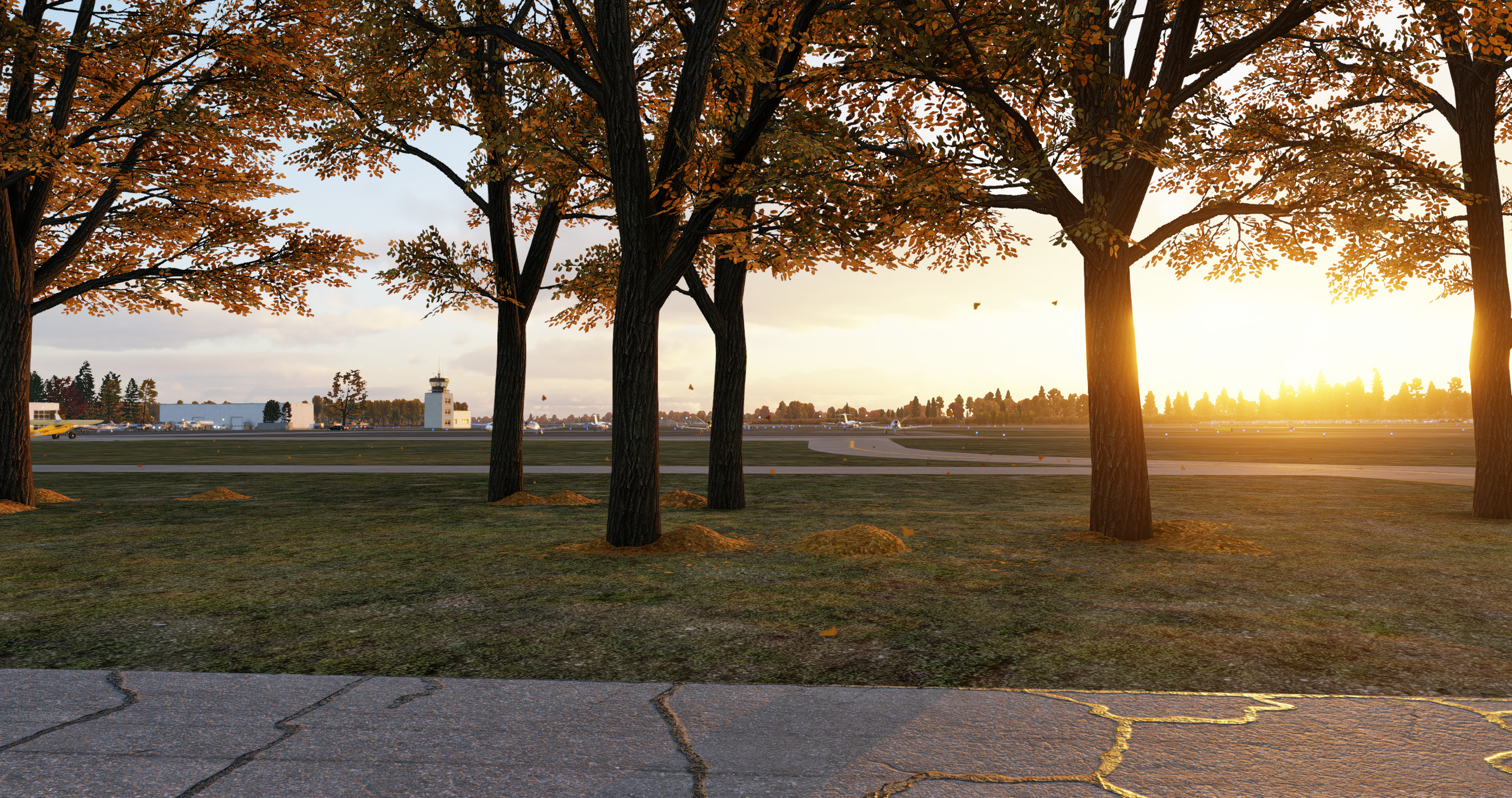 autumn foliage and airport scenery for Airport Enhancement Package by X-Codr Designs in X-Plane